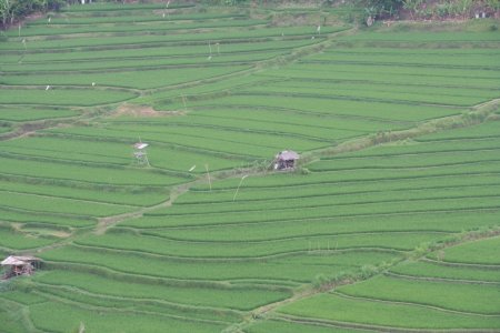 Bali 2008